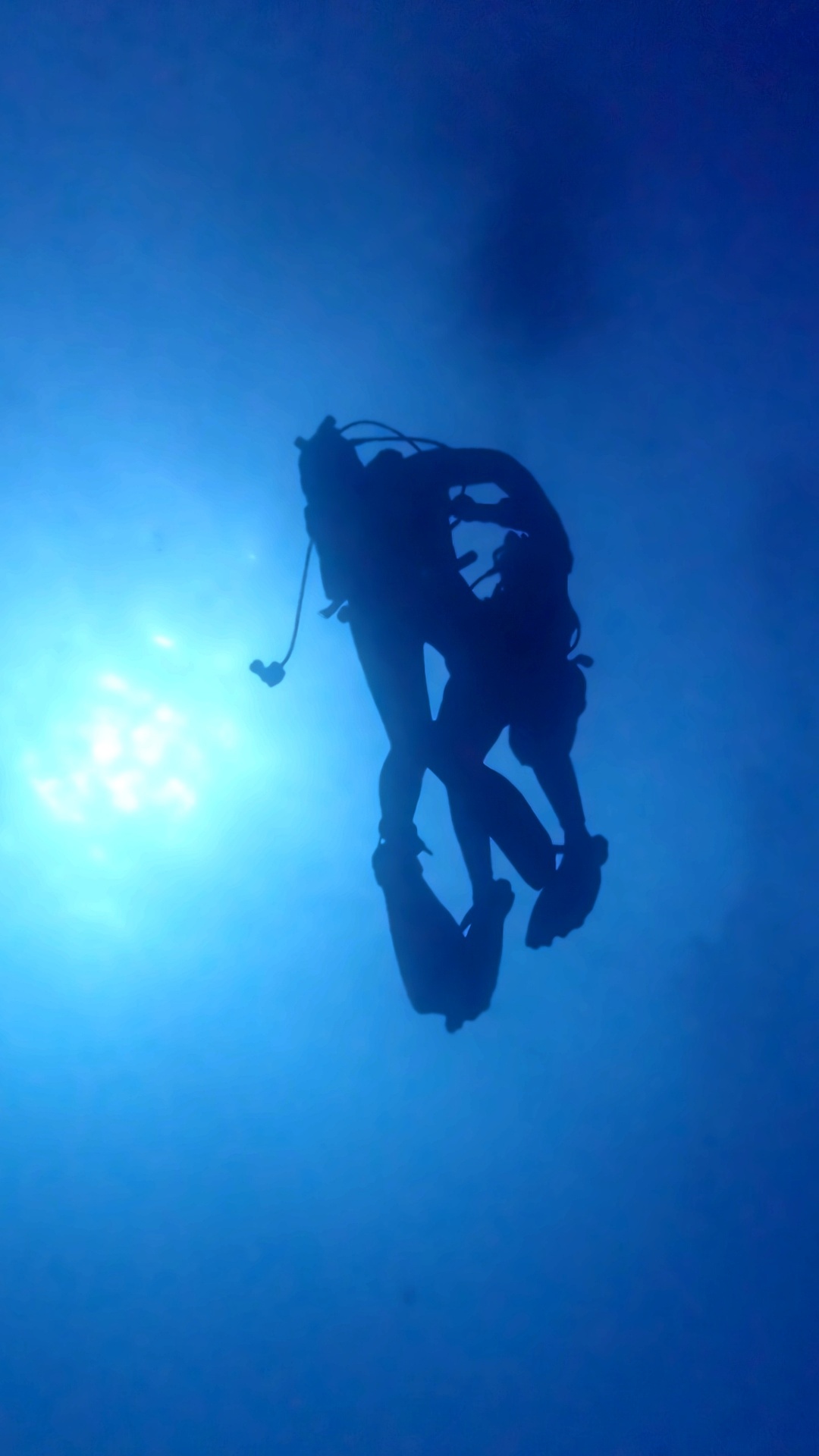Silhouette de plongeurs en formation vue depuis le fond, contre-jour bleu