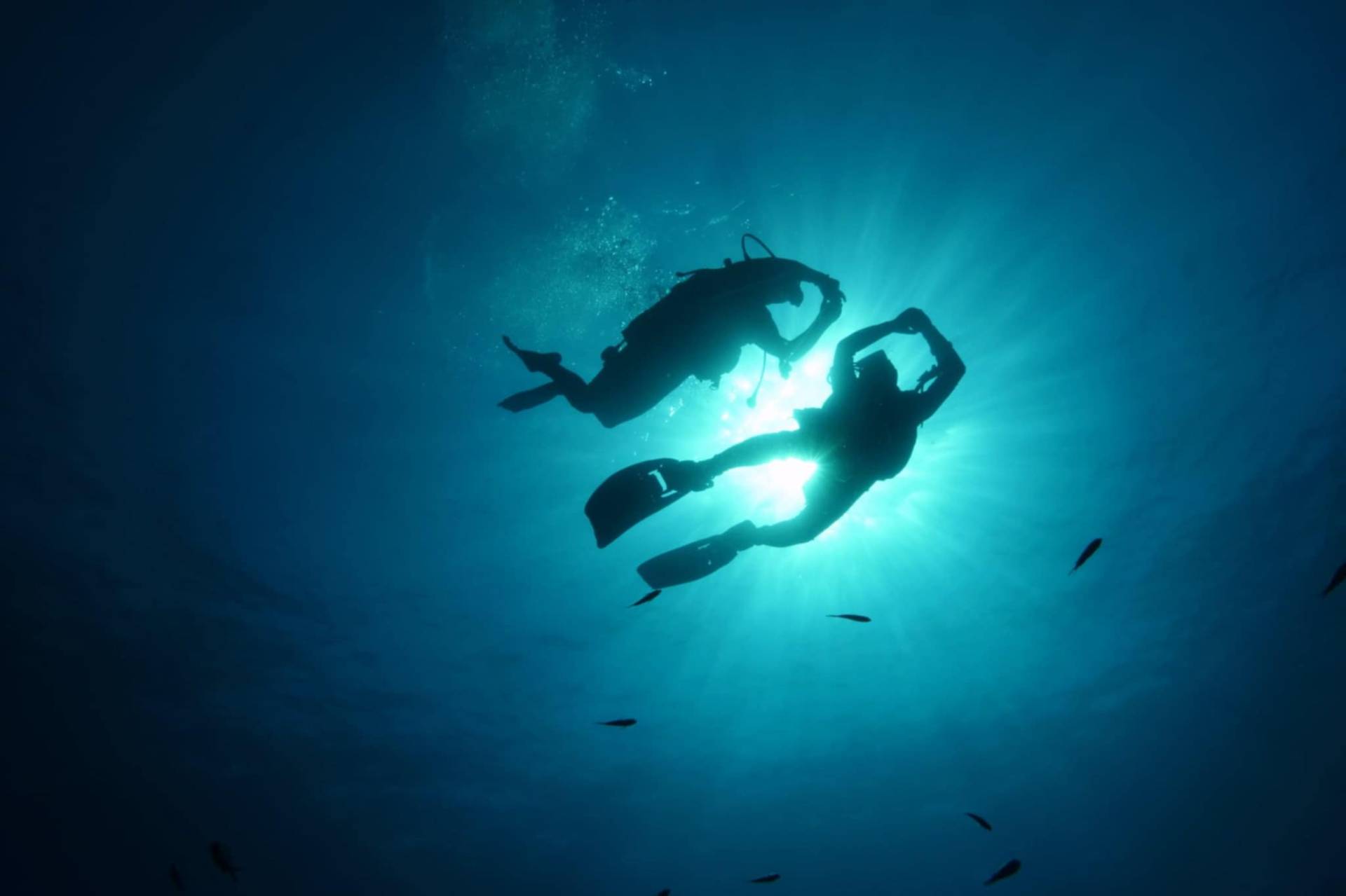 Silhouettes de deux plongeurs en contre-jour sous la surface de la Méditerranée