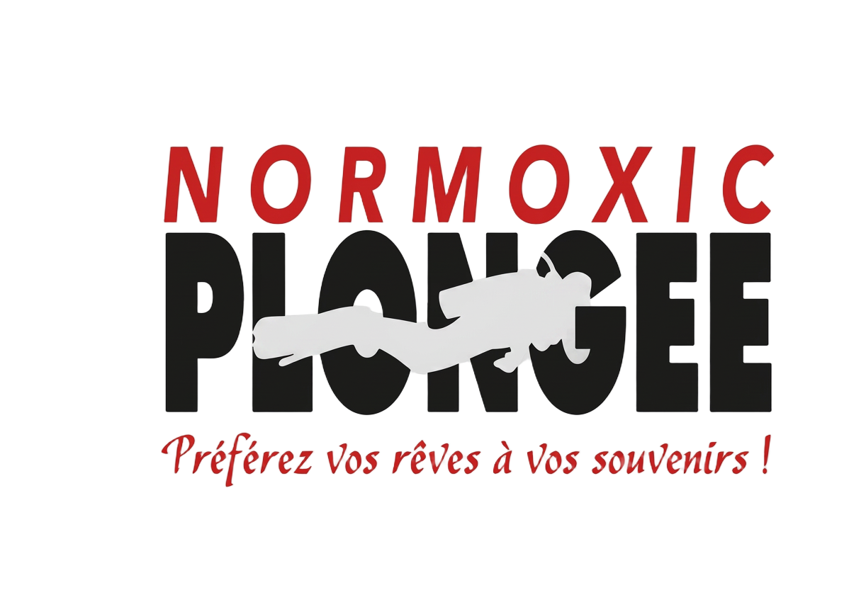 Logo Normoxic Plongée — formation Nitrox, Trimix et CCR à Golfe-Juan
